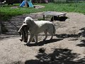afb_20160506 (113)